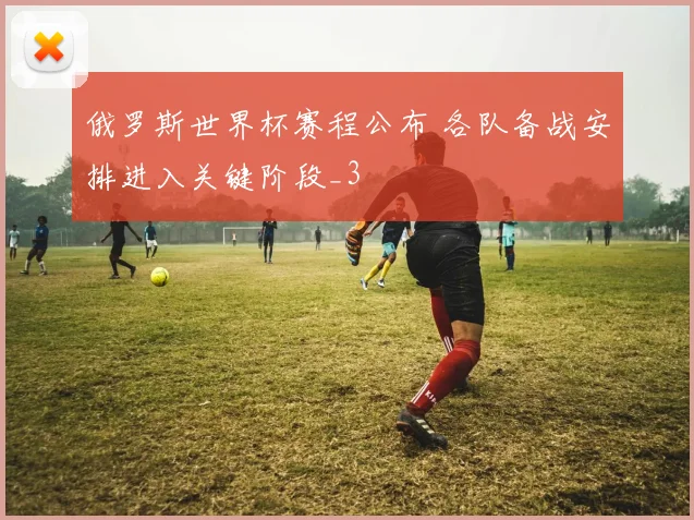 俄罗斯世界杯赛程公布 各队备战安排进入关键阶段_3