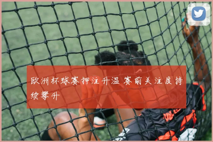欧洲杯球赛押注升温 赛前关注度持续攀升