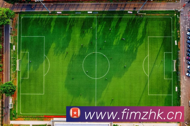 App Interface Preview